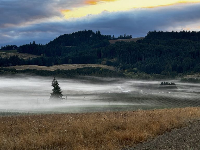 Beyond Ghost Wine: Uncovering the Terroir of Ghost Hill Cellars