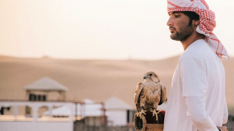 14 Top Things to do in Dubai for an Iconic Holiday