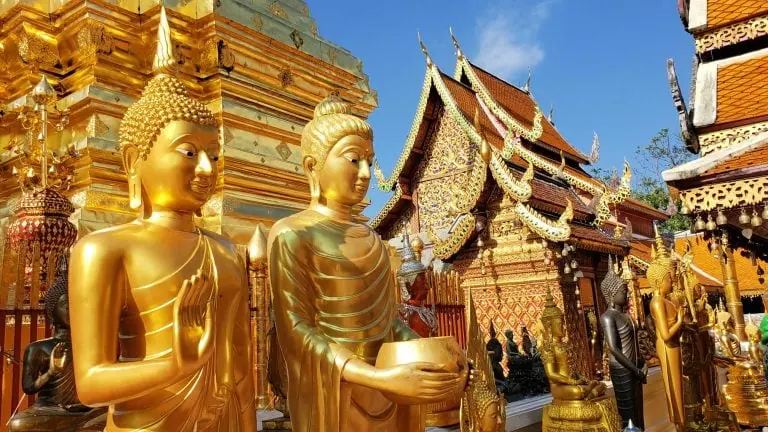 Things to Do in Chiang Mai: From Dazzling Temples to Mountain Adventures